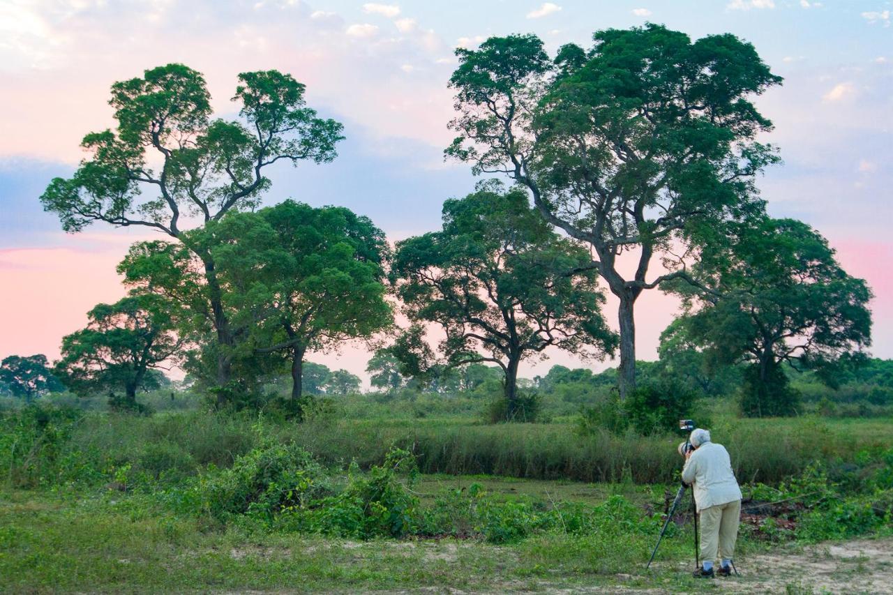 Southwild Pantanal Lodge Pixaim Extérieur photo