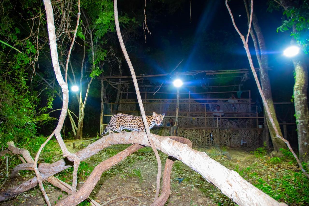Southwild Pantanal Lodge Pixaim Extérieur photo