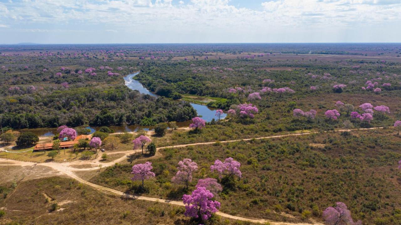 Southwild Pantanal Lodge Pixaim Extérieur photo