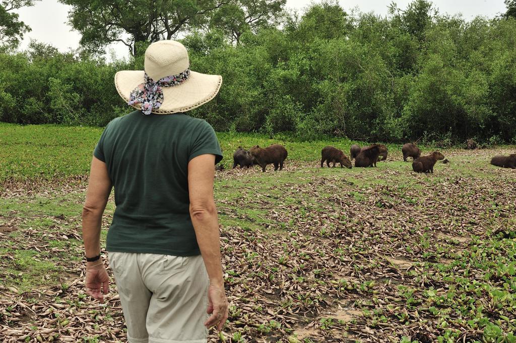 Southwild Pantanal Lodge Pixaim Extérieur photo