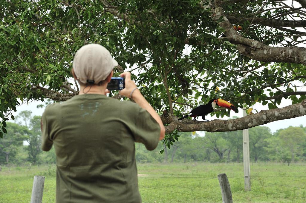 Southwild Pantanal Lodge Pixaim Extérieur photo