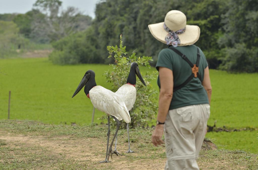 Southwild Pantanal Lodge Pixaim Extérieur photo