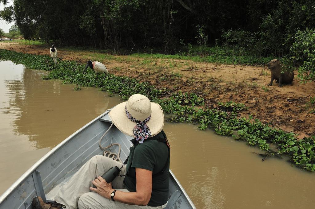 Southwild Pantanal Lodge Pixaim Extérieur photo