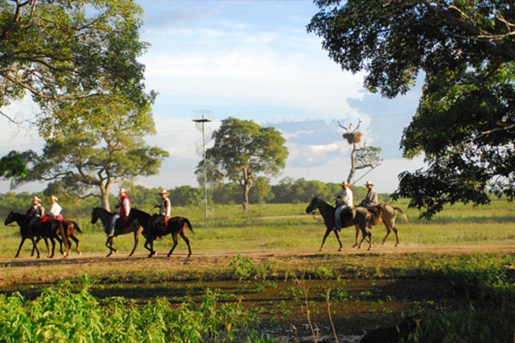 Southwild Pantanal Lodge Pixaim Extérieur photo