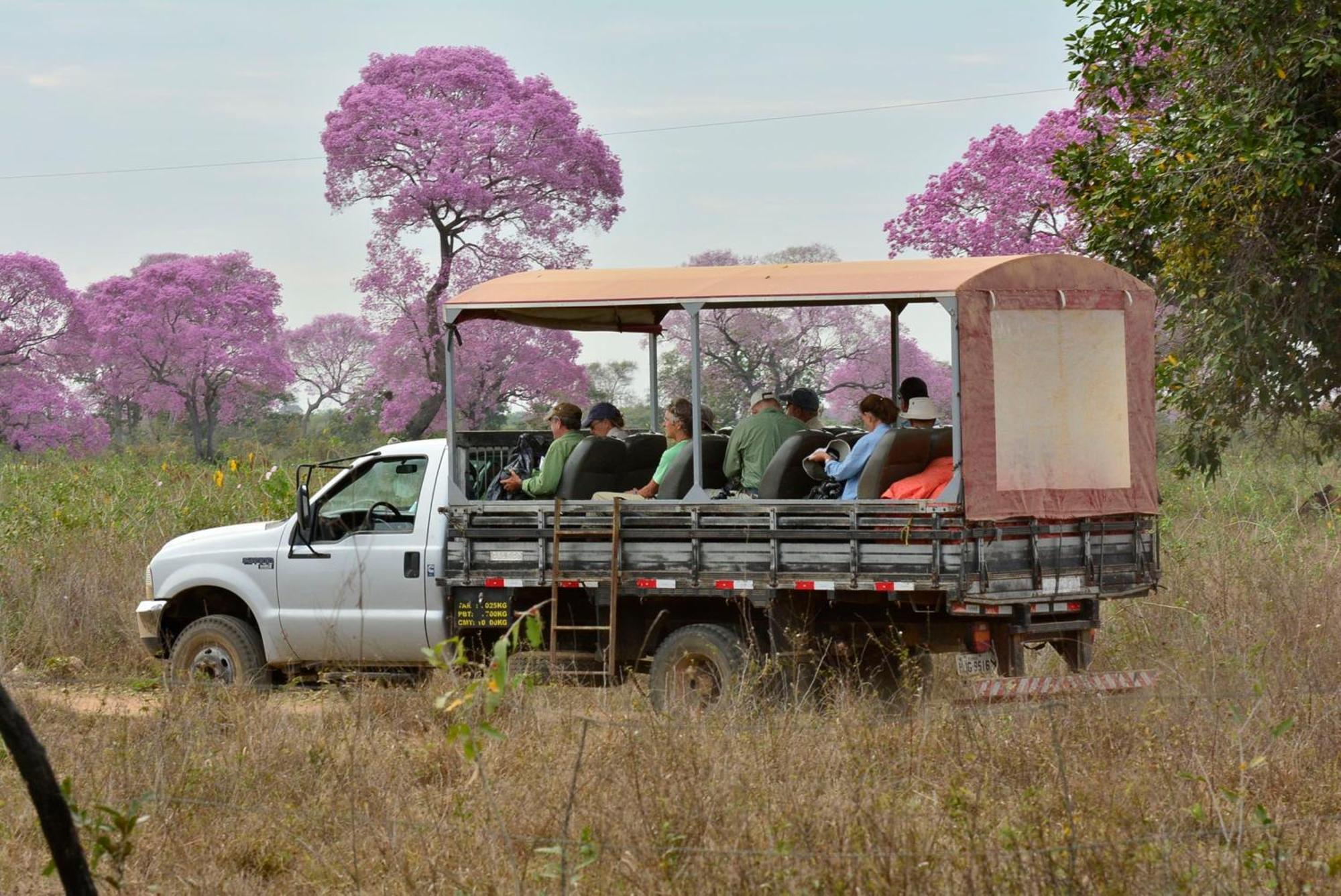 Southwild Pantanal Lodge Pixaim Extérieur photo
