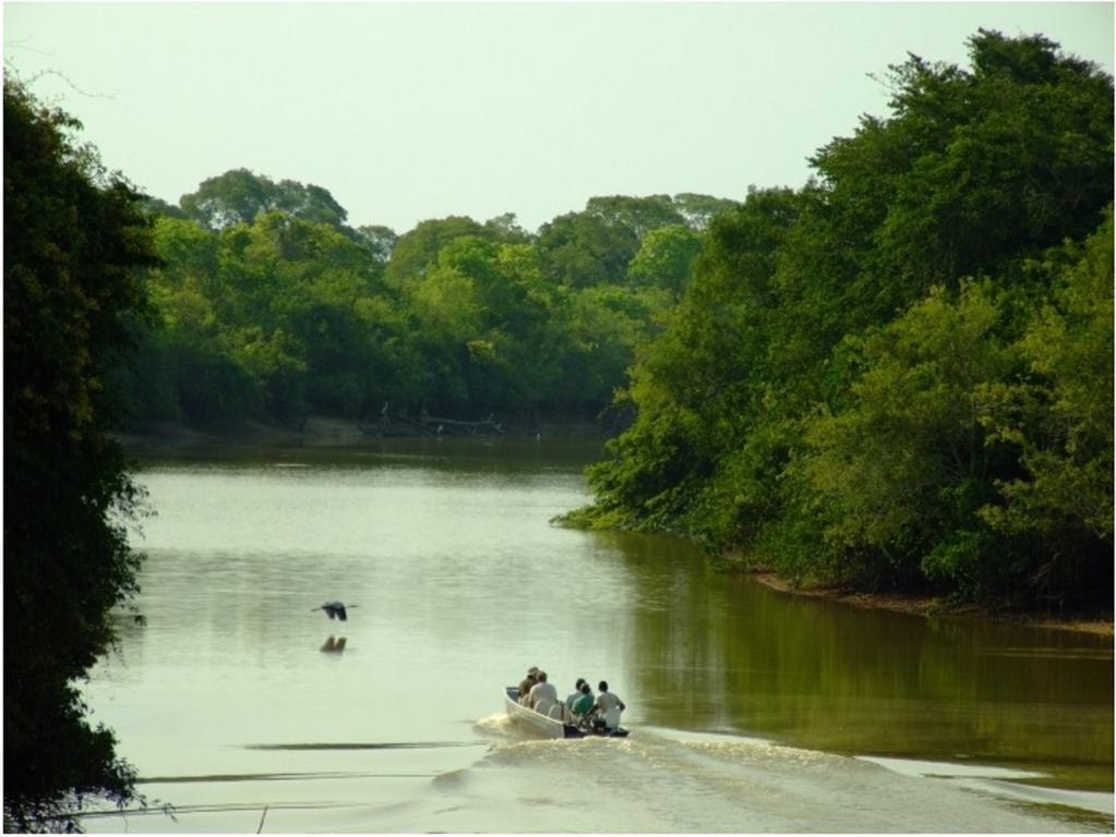 Southwild Pantanal Lodge Pixaim Extérieur photo